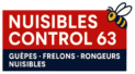 Interventions nids frelons guêpes nuisibles 63